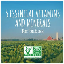 Baby cereal snack variety pack label: Essential Vitamins and Minerals; Non-GMO Verified