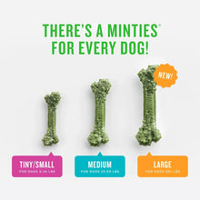 Dental bone treat sizes: tiny, medium, large, three green chews