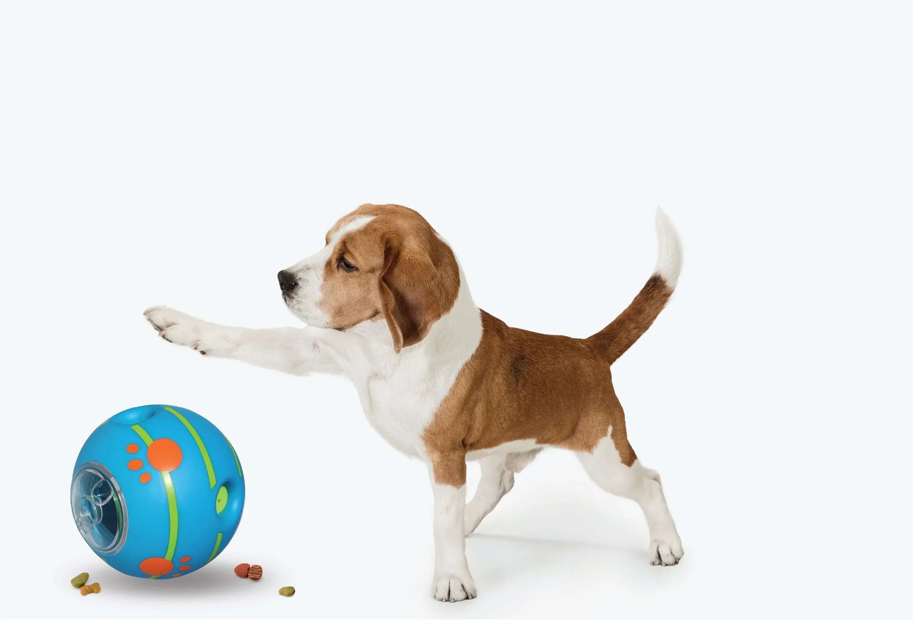 Pets Know Best Wobble Wag Giggle Treat Ball, Interactive Dog Toy & Treat Dispenser, Blue