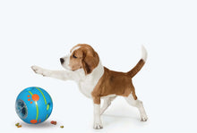 Beagle dog playing with blue paw-print treat-dispensing wobble ball