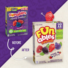 Funables Fruity Snacks, Mixed Berry Flavored Snacks, 0.8 oz, 22 Count
