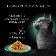 Cat food feeding recommendation label with adult servings and 1 tray equals 1 serving