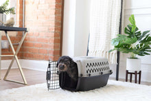 Portable hard-sided pet kennel with vented sides and raised black entry door