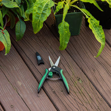 Garden snipping shears on wooden surface, green-and-black handles with steel blades