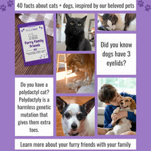 Furry Family Friends zine booklet collage with cat-themed facts