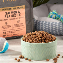 Salmon and pea recipe dry dog food kibble in mint bowl with bag