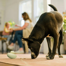 Mint green treat-dispensing dog toy on floor as a dog sniffs
