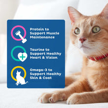 Dry cat food pouch with orange tabby cat and nutrient support icons