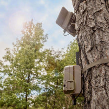 Solar power pack mounted on tree with beige housing and connected cables