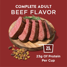 Beef flavor dog food graphic with steak slices and 23g protein per cup