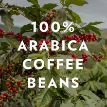 100% Arabica coffee beans graphic over coffee plant branches and red berries