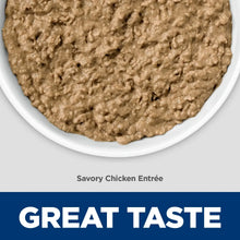 Savory chicken wet cat food pate close-up in white tray