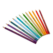 Twelve colored pencils arranged in a curved fan, sharpened points visible