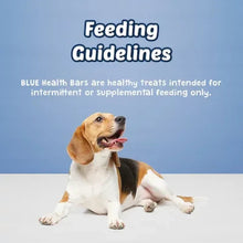 Beige baked dog treat biscuit with a sitting dog in front