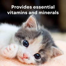Kitten close-up supported in hands for milk replacer feeding.