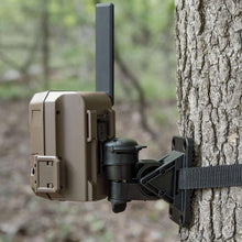 Trail camera flex mount bracket on tree with metal plate and adjustable strap