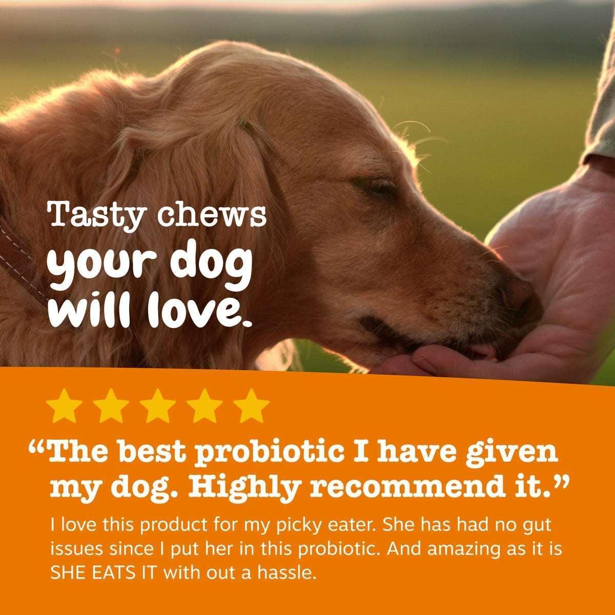 Zesty Paws Vet Strength Pre, Post & Probiotic Bites for Dogs, Dog Supplement for Gut Health, 60 Count