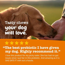 Dog treat promotion with dog face and hand petting, plus customer review text