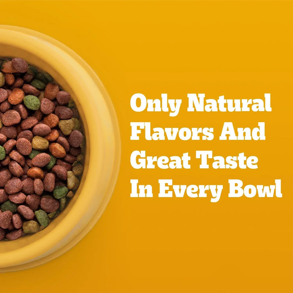 Pedigree Complete Nutrition Adult Dry Dog Food, Grilled Steak & Vegetable Flavor - USA MEGA SHOP