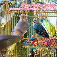 Colorful woven bird chew toy with hanging parts on cage bars, with two parrots.