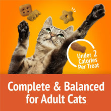 Adult cat stretching with crunchy cat treat bites around it