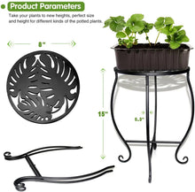 Black round metal plant stand with perforated top, curved frame, and scroll feet.