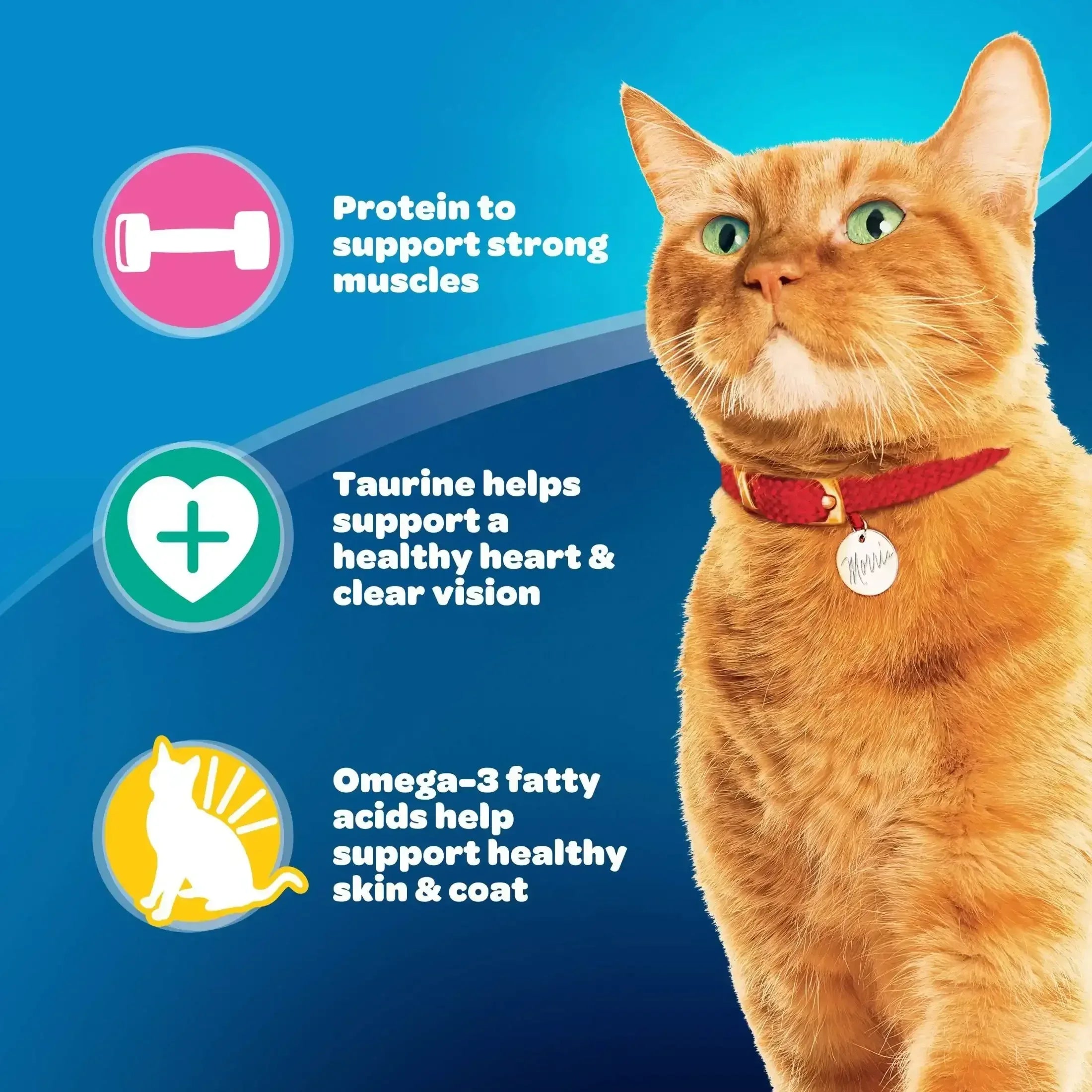 9Lives Daily Essentials Dry Cat Food