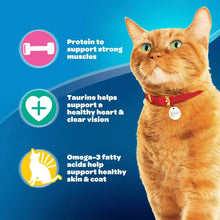 9Lives Daily Essentials dry cat food graphics with orange cat and nutrition icons