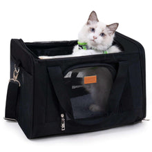 Black pet carrier with front mesh window, side panels, and cat inside