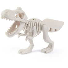 White T-Rex skeleton dinosaur fossil mold figure