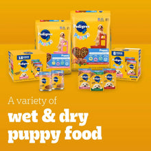 Variety of Pedigree Puppy wet and dry dog food packs