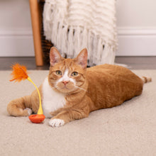 Interactive cat toy: orange ball with orange feather wand on string