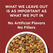 Dry dog food kibble in bowl with no artificial flavors or fillers claim