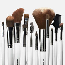 Assorted makeup brushes with brown bristles in silver ferrules and white handles