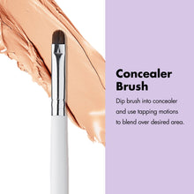 Concealer brush with dense brown bristles and silver ferrule on a white handle