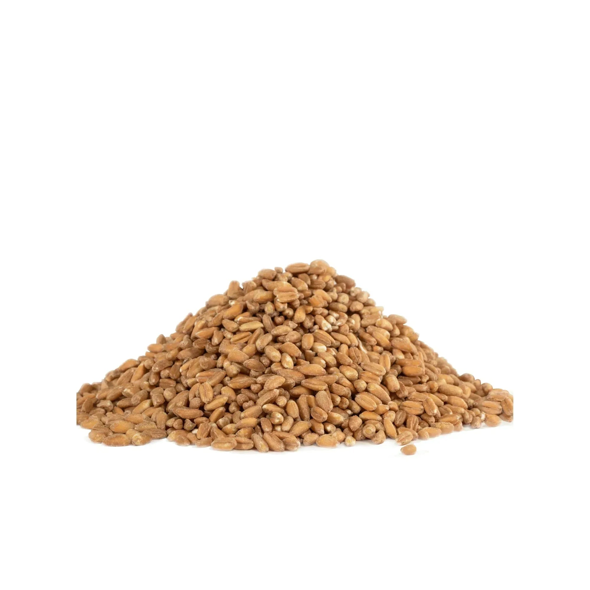Bob's Red Mill Organic Farro Grain 24 oz
