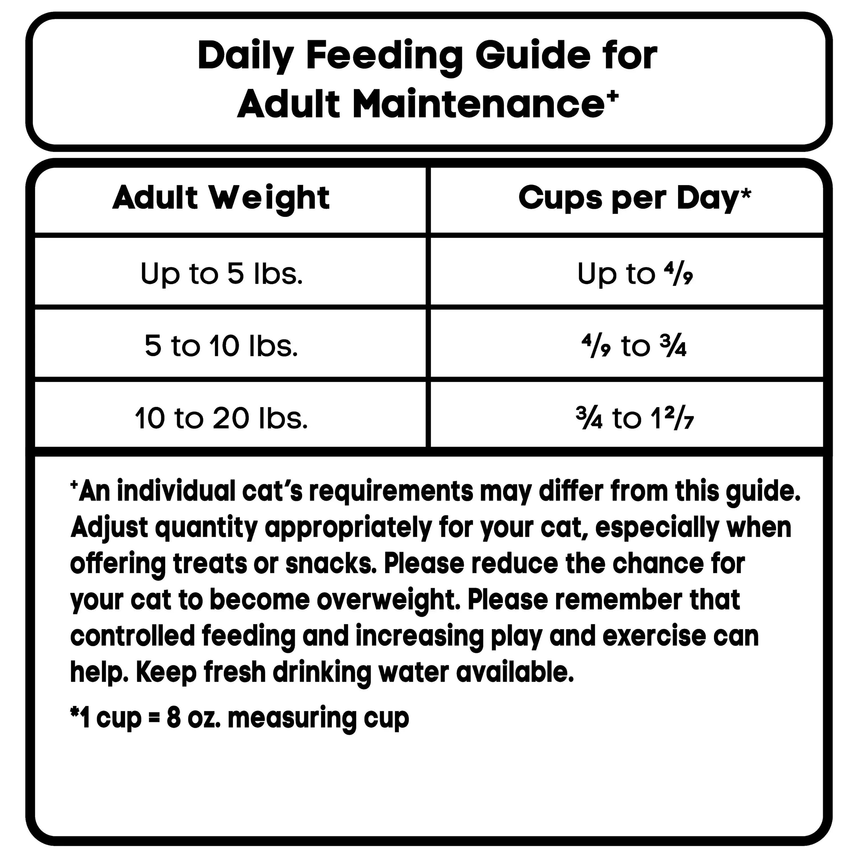 Special Kitty Gourmet Formula Seafood Blend Flavor Dry Cat Food, 3.15 lb Bag - USA MEGA SHOP