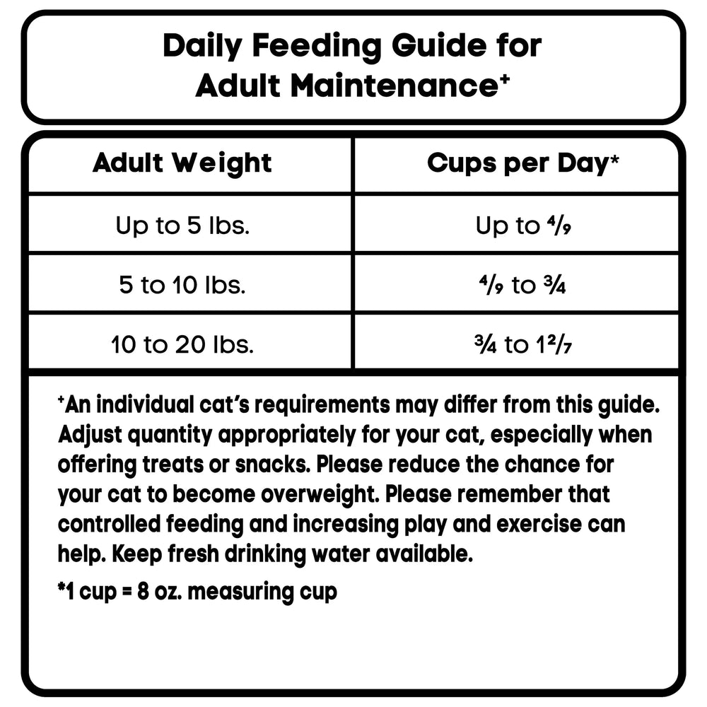 Special Kitty Gourmet Formula Seafood Blend Flavor Dry Cat Food, 3.15 lb Bag - USA MEGA SHOP