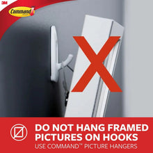 Wall-mounted hook with warning graphic, do not hang framed pictures