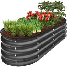 Charcoal oval raised garden bed planter with sprouts, soil, and red berries