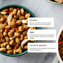 Bowl of Freshpet dog food kibble with vegetable and chicken pieces
