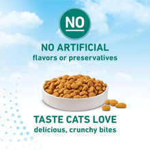 Dry cat food kibble in a bowl with crunchy bite text