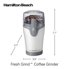 White electric coffee grinder with clear hopper and side profile with measurements