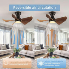 Pair of indoor ceiling fans with light, black housings, five brown blades each