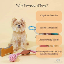 Pawpourri toys benefits infographic with dog and rope chew toy, interactive play