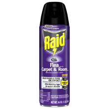 Purple Raid Flea Killer Plus carpet and room spray aerosol bottle with black sprayer top.