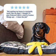 Pet odor-fighting fabric refresher shown on pet bedding with dog