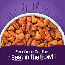 Purina Friskies Surfin & Turfin kibble in white bowl