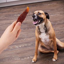 Dog reaching for a duck-wrapped sweet potato treat held by a hand