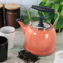 Coral stainless steel tea kettle on countertop with black lid knob